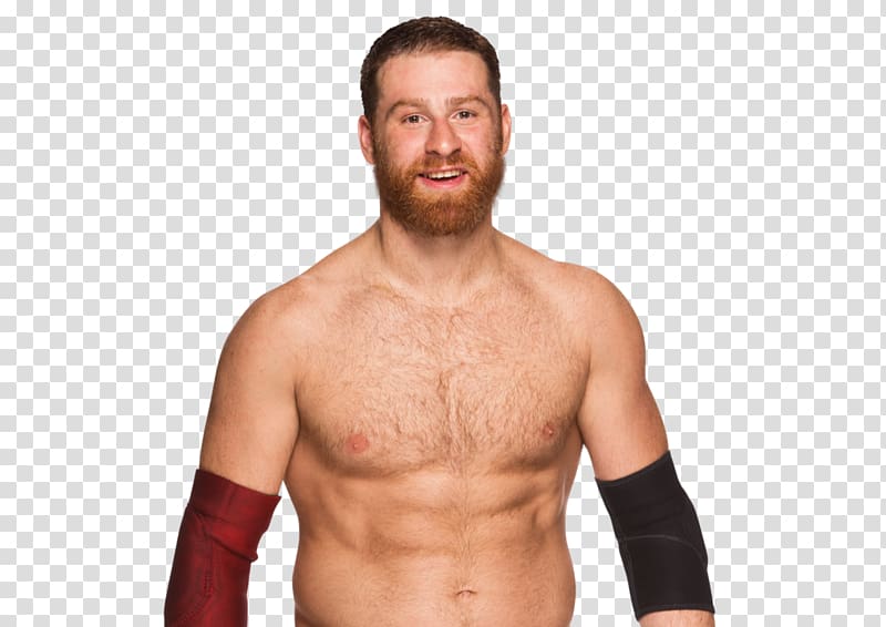 Sami Zayn WWE Superstars WWE draft WWE NXT, finn balor transparent background PNG clipart