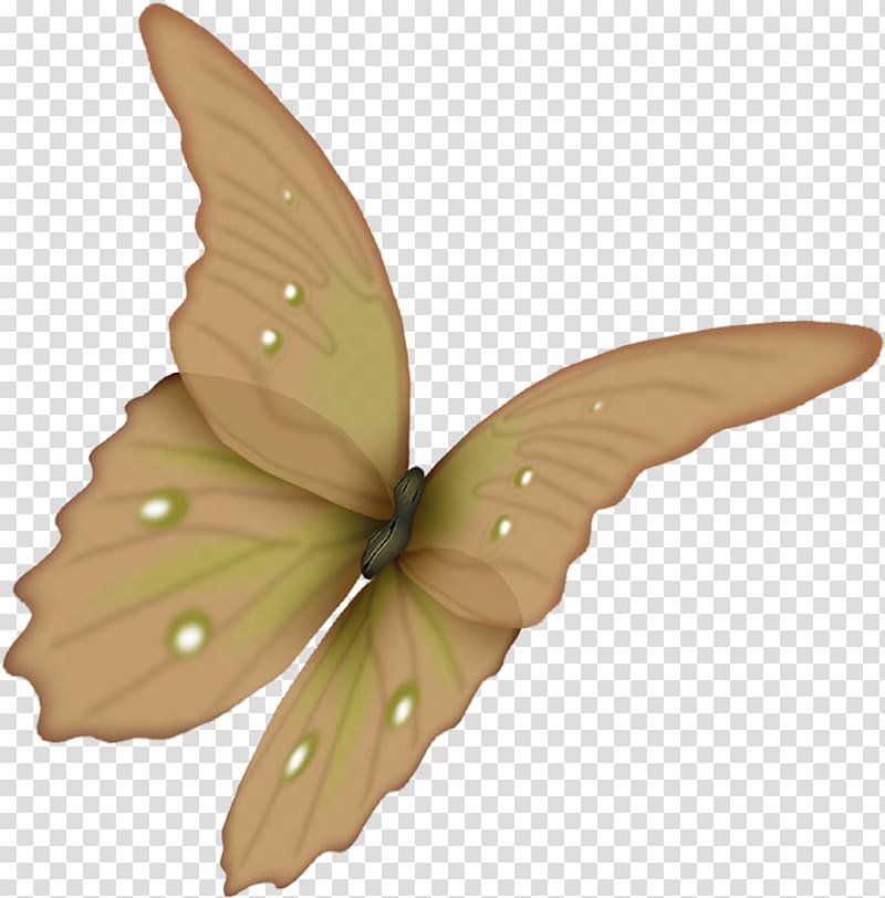 Butterfly Flower Paper , butterfly transparent background PNG clipart