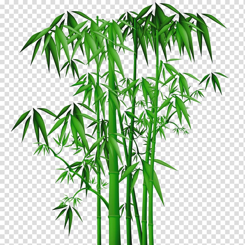 green bamboo illustration, Ink wash painting Bamboo Shan shui Chinese painting, bamboo transparent background PNG clipart
