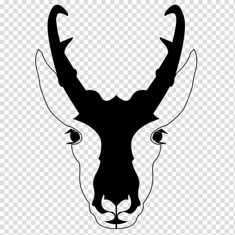 Pronghorn Deer Antelope , antelope transparent background PNG clipart