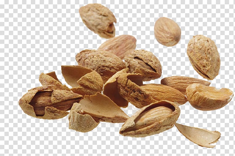 Nut Almond Food, almond transparent background PNG clipart