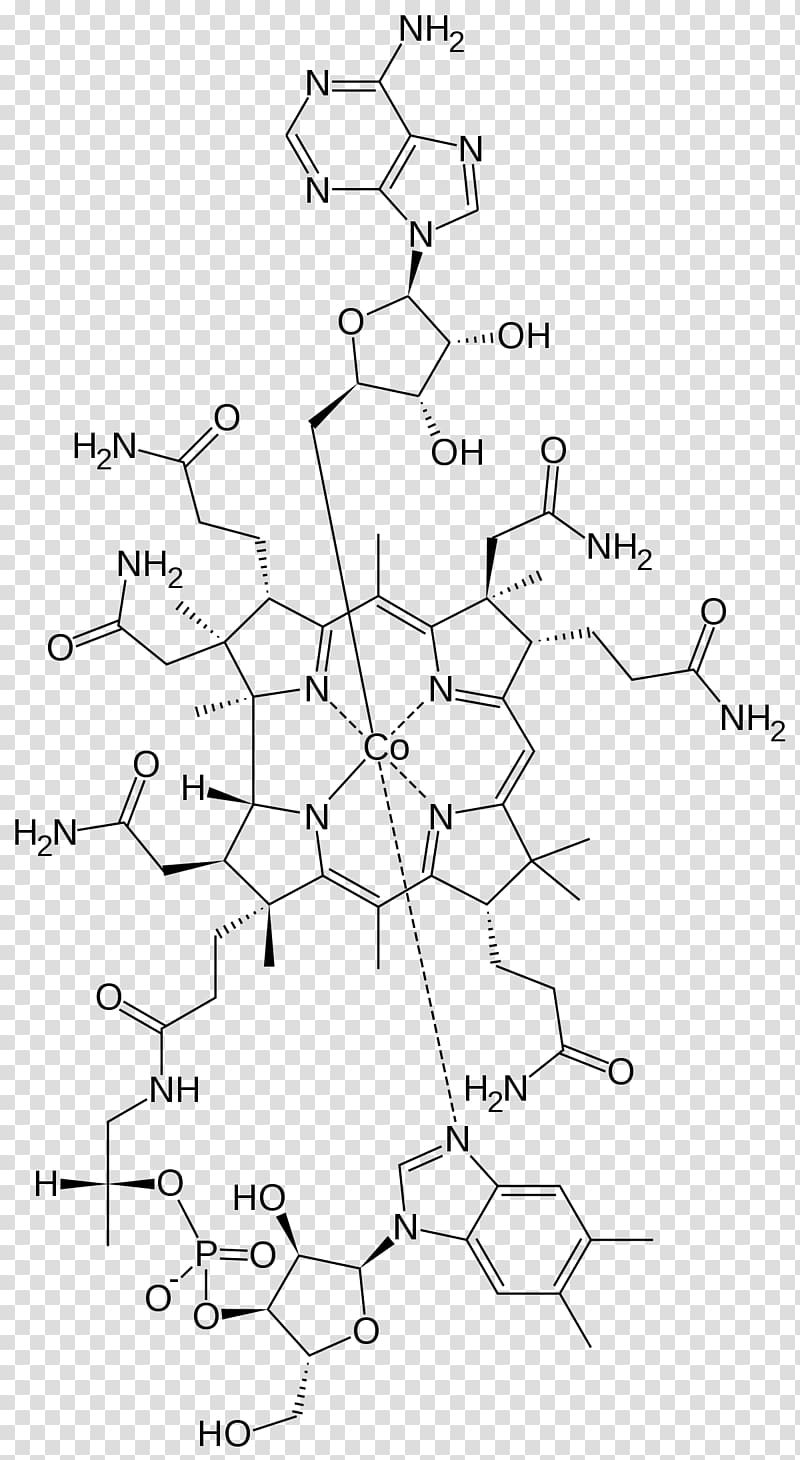 Dietary supplement Vitamin B-12 Methylcobalamin Adenosylcobalamin Cyanocobalamin, nosy transparent background PNG clipart