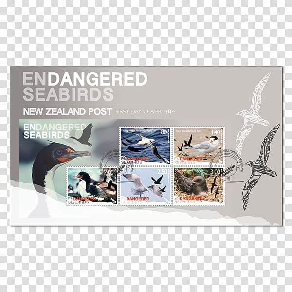 Advertising, SEABIRD transparent background PNG clipart