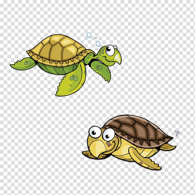 Sea turtle Animation Cartoon, Two turtles transparent background PNG clipart