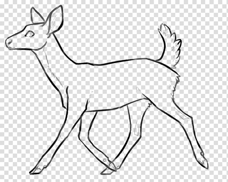 Reindeer White-tailed deer Antelope Horn, based line drawing transparent background PNG clipart