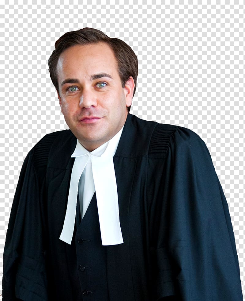 Lawyer Barrister Solicitor, Lawyer transparent background PNG clipart
