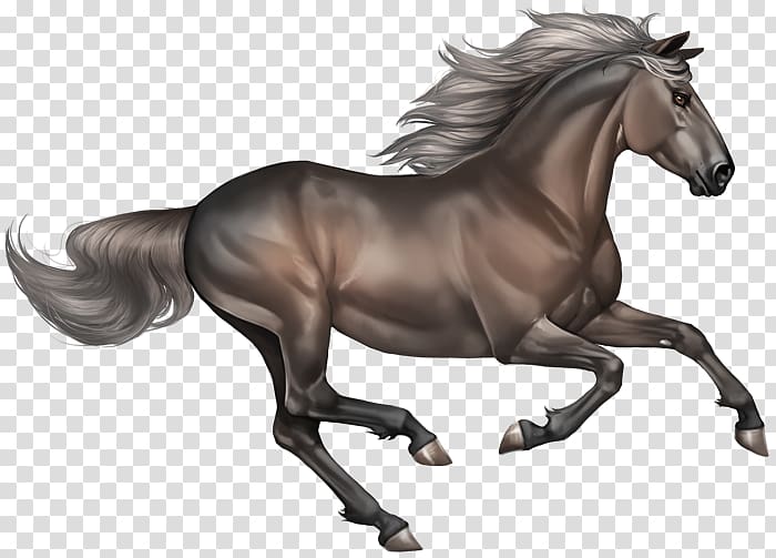 Mestengo: A Wild Mustang, a Writer on the Run, and the Power of the Unexpected , smoky transparent background PNG clipart