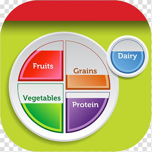 MyPlate Food pyramid Food group MyPyramid, health transparent background PNG clipart