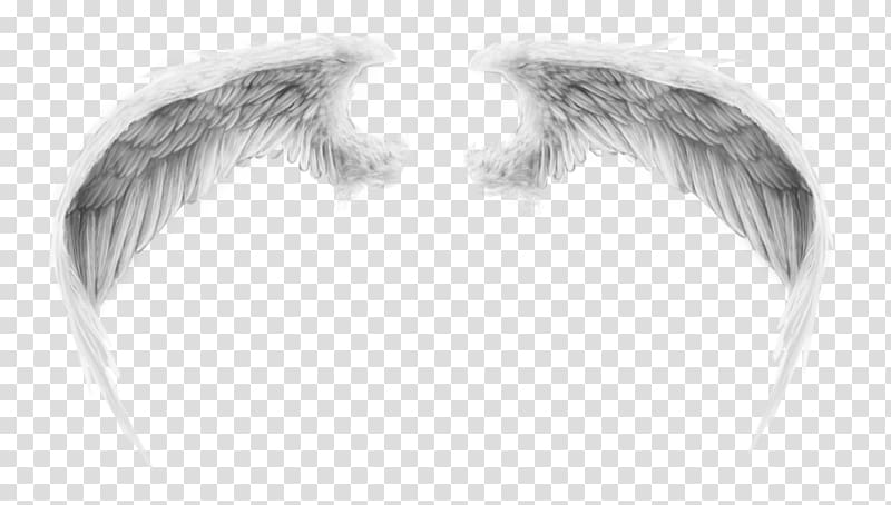 , angel wings transparent background PNG clipart