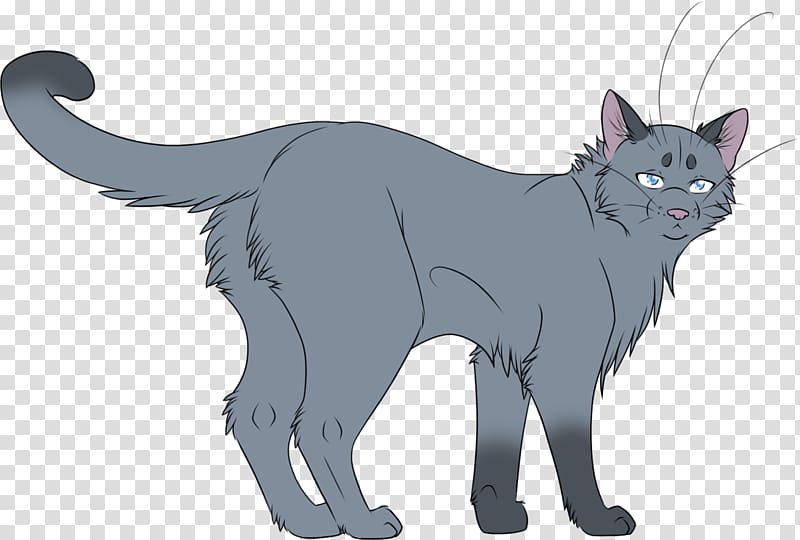 Kitten Black cat Nebelung Korat Domestic short-haired cat, kitten transparent background PNG clipart