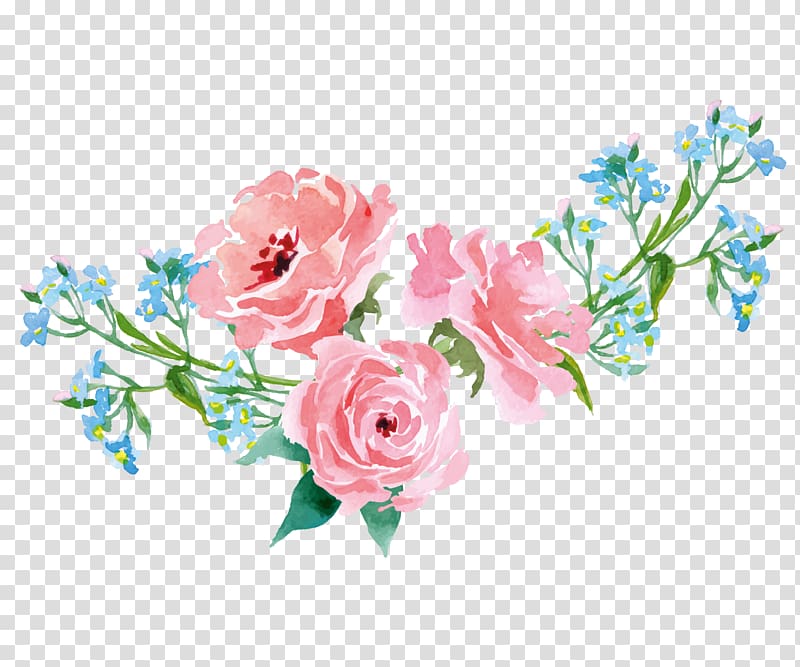 Garden roses Pink Illustration, Hand-painted flowers plants, pink rose illustration transparent background PNG clipart