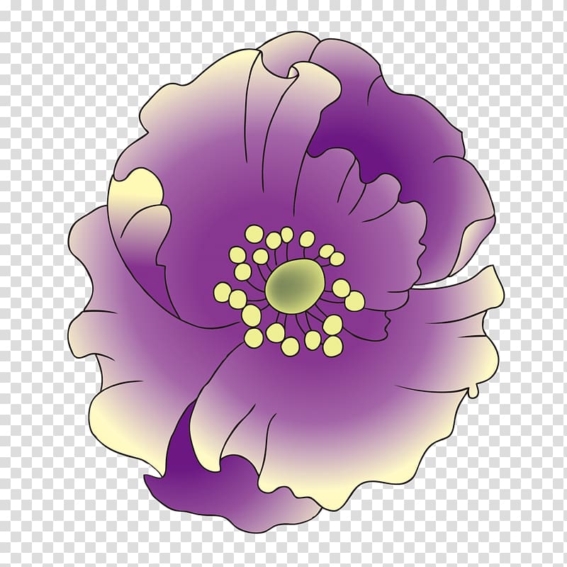 Drawing Woman Illustration, Purple Lotus in full bloom transparent ...