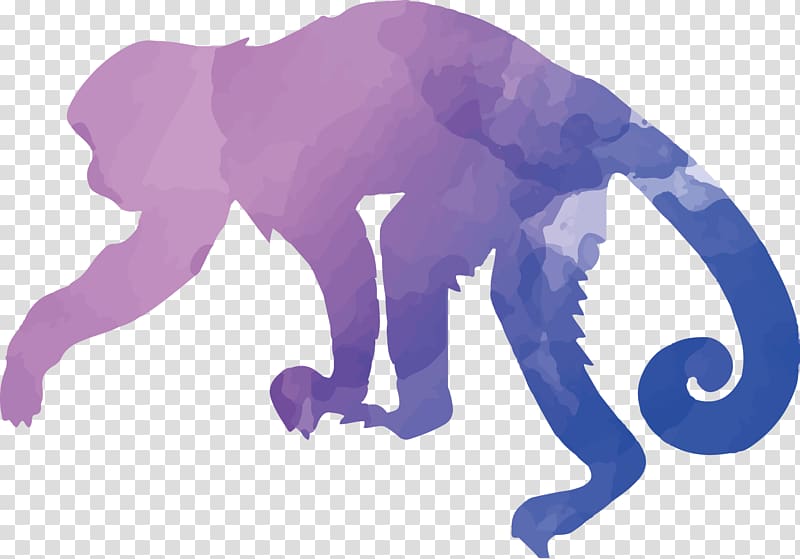 Capuchin monkey Apes and Monkeys Tufted capuchin, Colorful animal silhouettes set transparent background PNG clipart