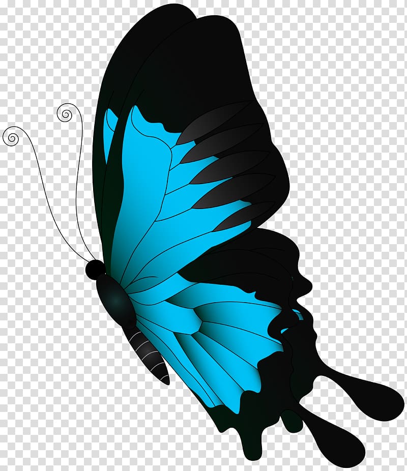 Butterfly Desktop , blue butterfly transparent background PNG clipart