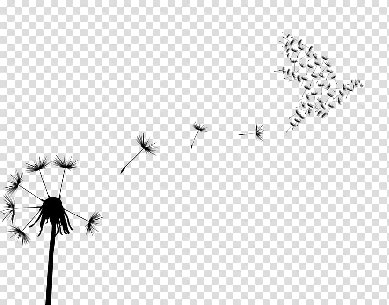 Bird Common Dandelion Flock , flock of birds transparent background PNG clipart