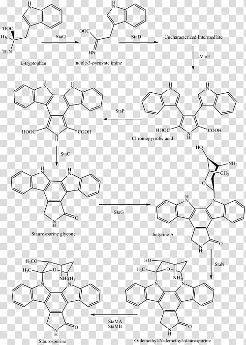 Staurosporine Midostaurin Chemical synthesis Pharmaceutical drug Semisynthesis, others transparent background PNG clipart