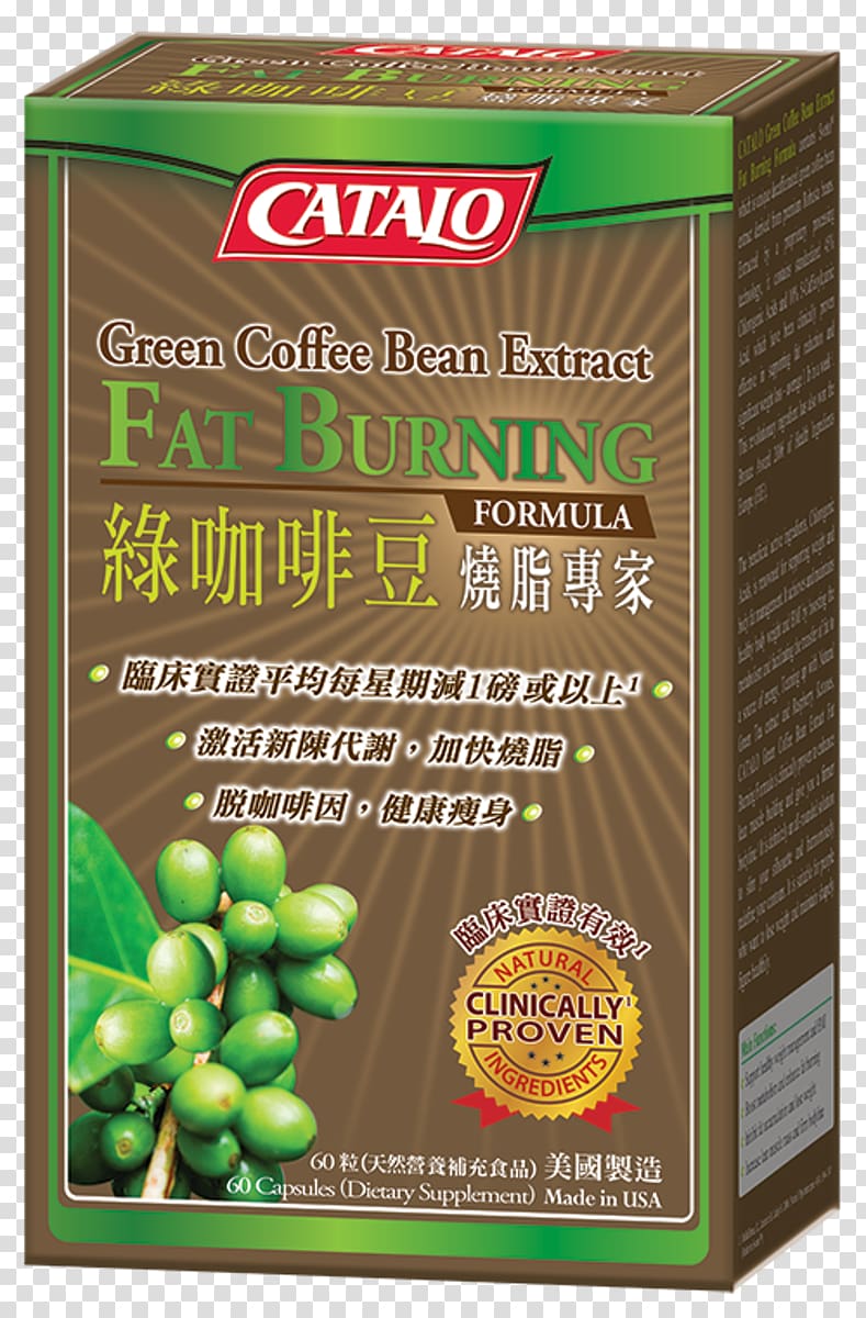 Coffee bean Green coffee extract CATALO Food, Coffee transparent background PNG clipart