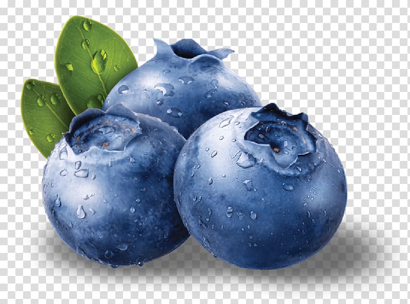 Blueberry Muffin, Blueberries transparent background PNG clipart