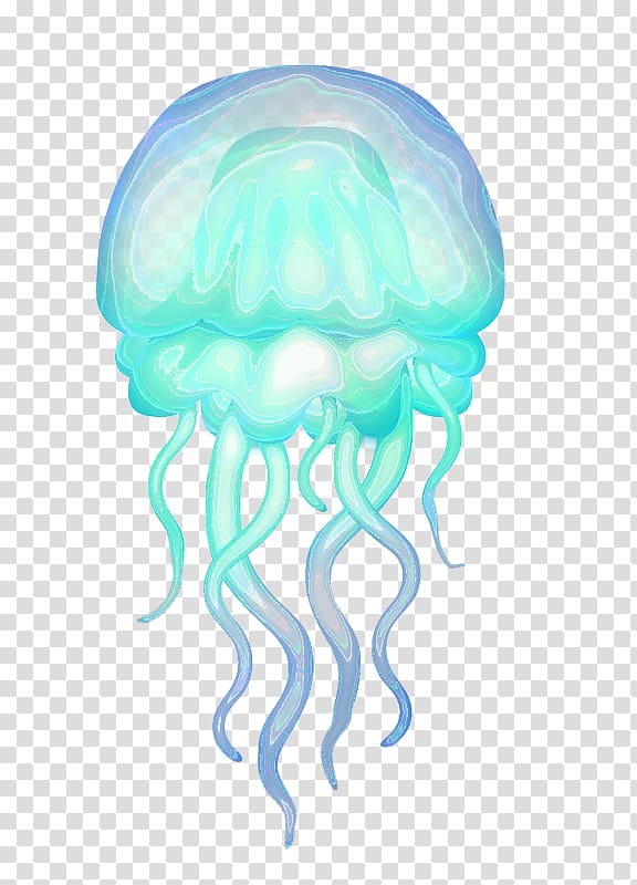 Rhizostomae Hydrozoa Aquatic animal Box jellyfish, others transparent background PNG clipart
