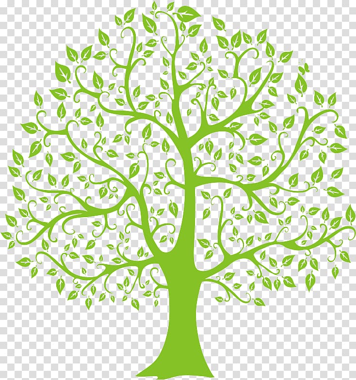Tree , tree transparent background PNG clipart