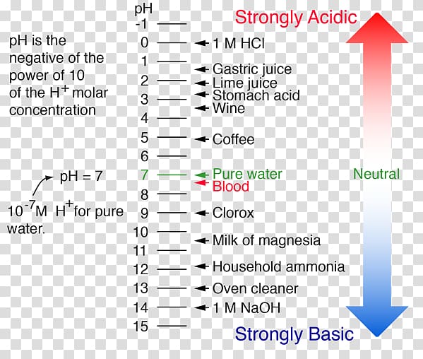 pH Hydrochloric acid Acid–base reaction Chemistry, others transparent background PNG clipart