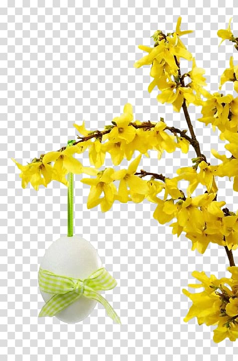 Easter egg Hit Holiday , he is risen transparent background PNG clipart