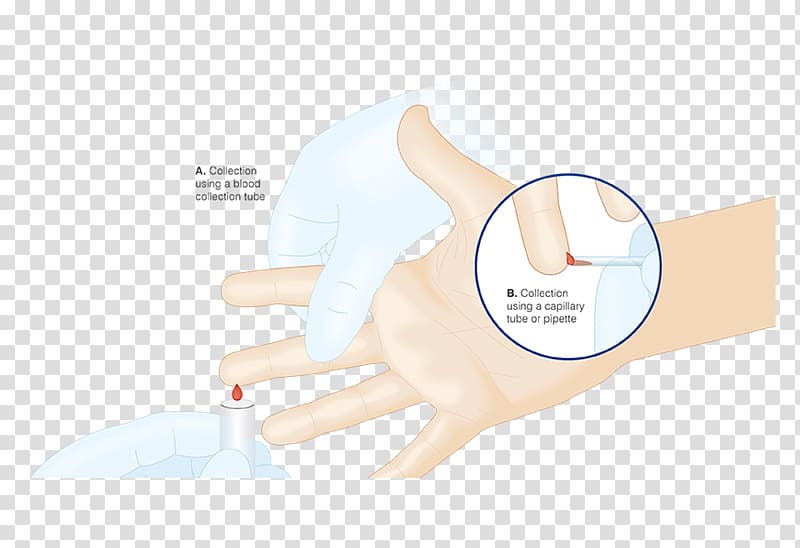 Thumb Medical glove Product Hand model, blood capillary action transparent background PNG clipart