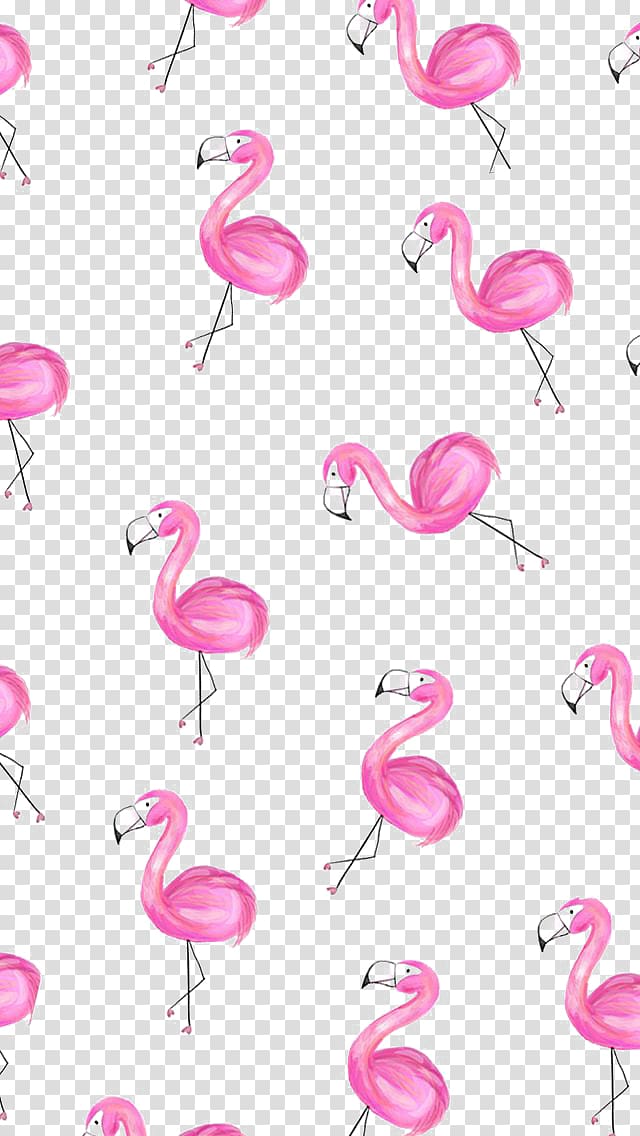 pink flamingo , Greater flamingo Paper , Flamingos transparent background PNG clipart