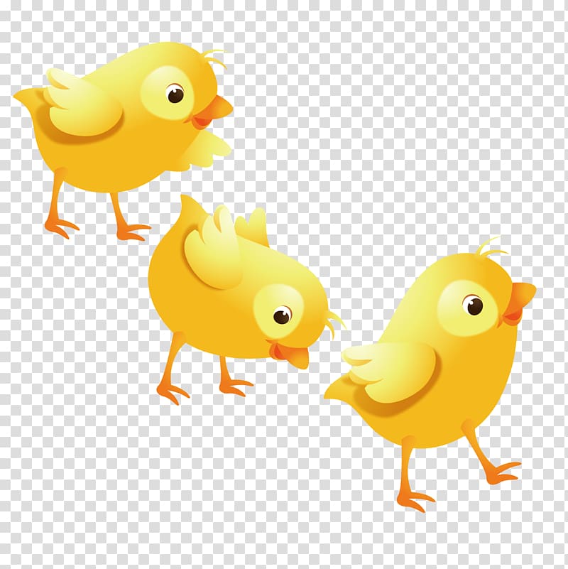 three yellow chicks , Chicken Buffalo wing Duck Illustration, Lovely chicken transparent background PNG clipart
