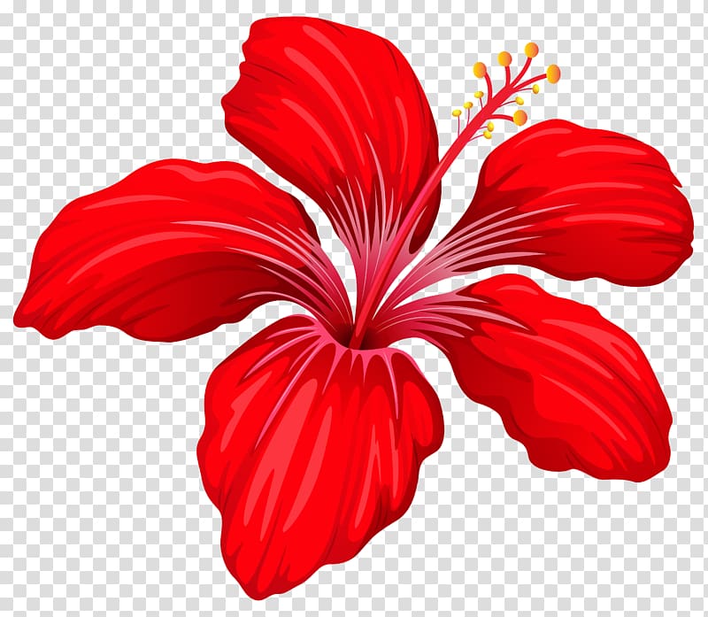 red Hibiscus flower illustration, Flower Red , Exotic Red Flower transparent background PNG clipart