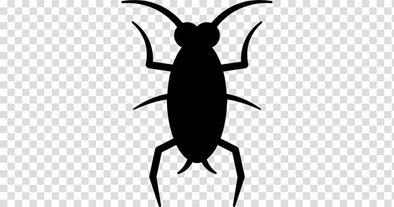 Fly Cockroach Beetle Computer Icons , fly transparent background PNG clipart