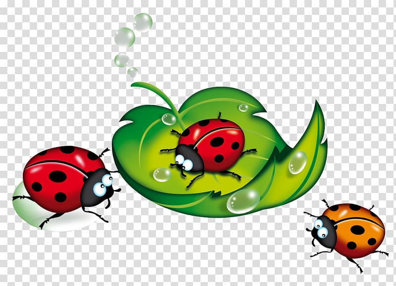 three ladybugs and green leaf art, Ladybird Blog Beetle , Ladybug transparent background PNG clipart