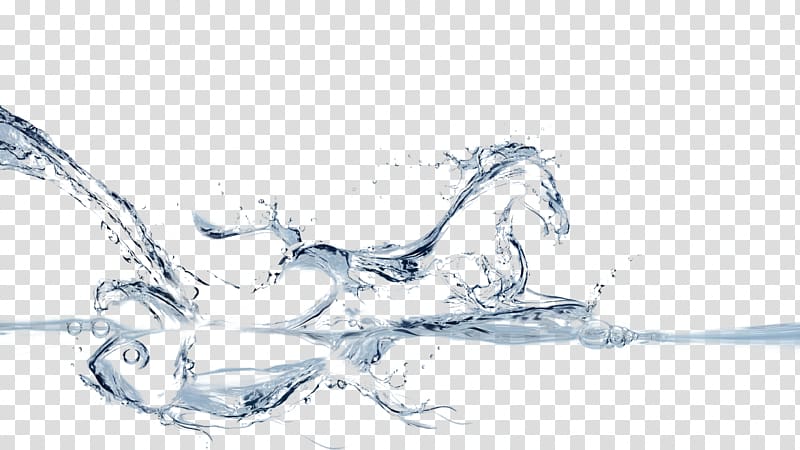 water splash, Arabian horse Morgan horse American Paint Horse Black , Horse transparent background PNG clipart