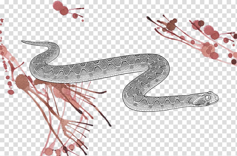 Snake Vipers Echis carinatus Tirofiban Venom, snake transparent background PNG clipart