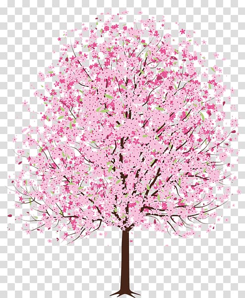 Cherry blossom , Spring Trees transparent background PNG clipart