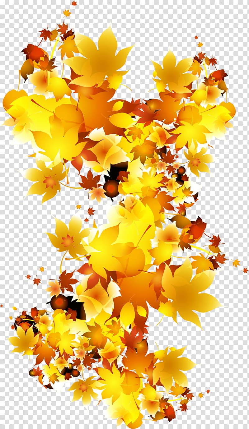 yellow and orange leaves illustration, Autumn Leaf, Autumn leaves transparent background PNG clipart
