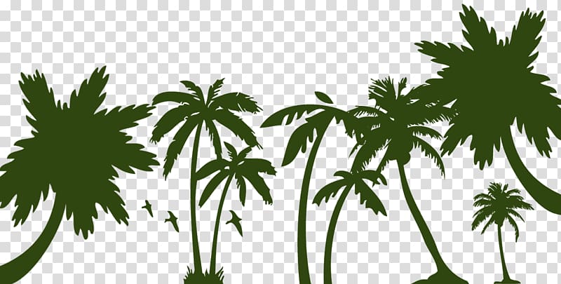 Arecaceae Sago palm Tree, tree transparent background PNG clipart