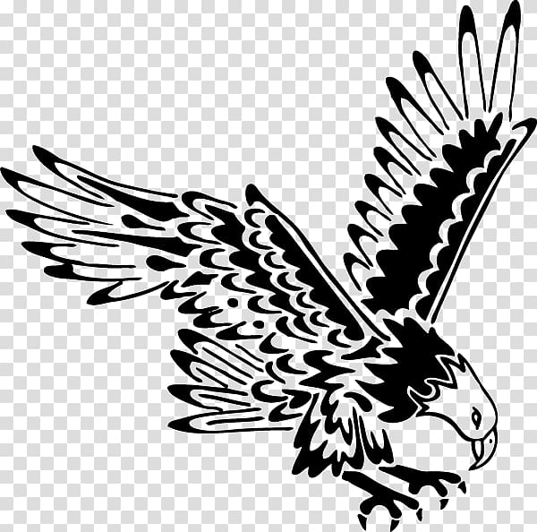 Bald Eagle Tattoo Black-and-white hawk-eagle Eagle feather law, eagle transparent background PNG clipart