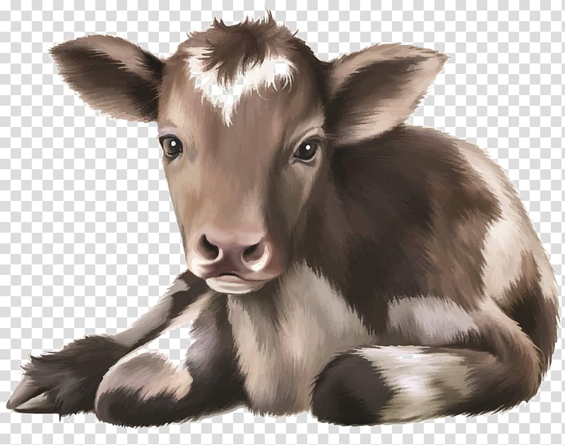 Calf Angus cattle Infant , calf transparent background PNG clipart