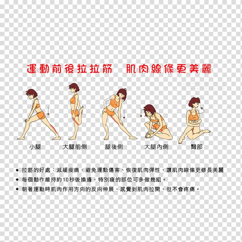 Warming up Fascia Muscle Leg Motion, Warm up before exercise transparent background PNG clipart
