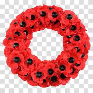 Memorial Day Poppy Flower png download - 812*773 - Free Transparent In  Flanders Fields png Download. - CleanPNG / KissPNG