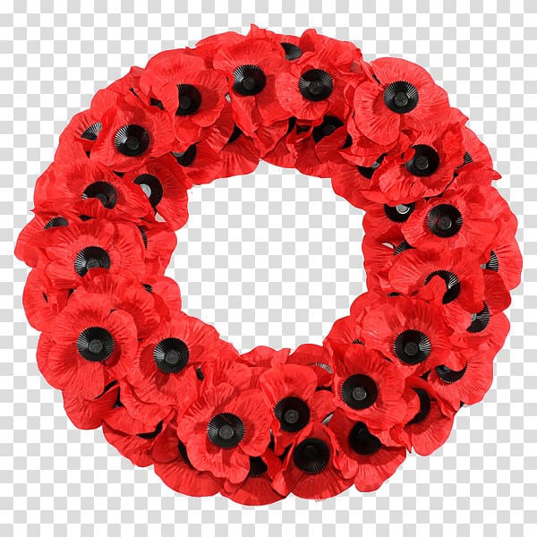 Remembrance poppy Common poppy Flower Armistice Day, flower transparent background PNG clipart