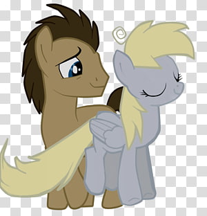 Pony Horse Cat , horse transparent background PNG clipart thumbnail