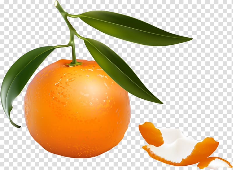 Clementine Tangerine Mandarin orange Grapefruit Tangelo, grapefruit transparent background PNG clipart