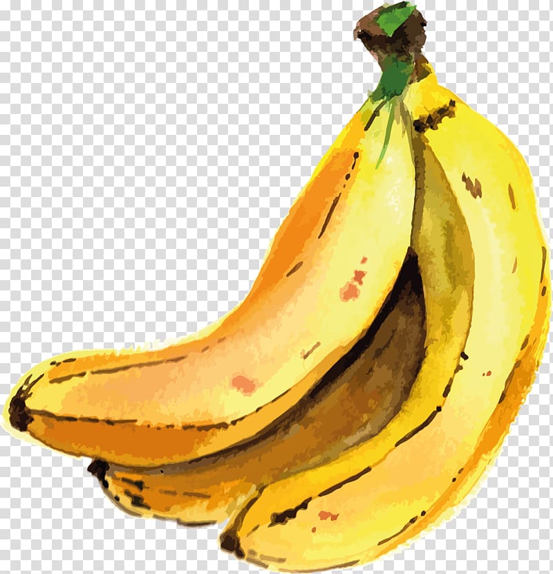 Saba banana Cooking banana , banana transparent background PNG clipart