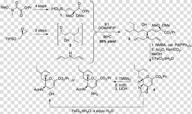 Petasis reaction Allylamine Chemical reaction Allyl group, others transparent background PNG clipart