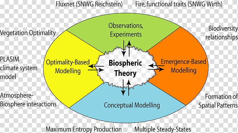 Organization Ecological systems theory Line Font, Complex System transparent background PNG clipart