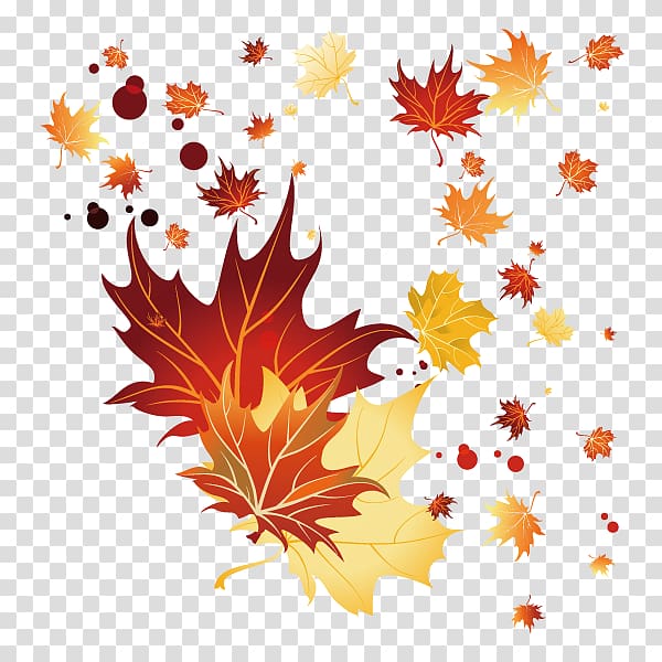 Maple leaf Autumn, fall,Leaves,decoration transparent background PNG clipart