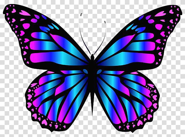 Butterfly Purple Blue Color , Purple Butterfly transparent background PNG clipart