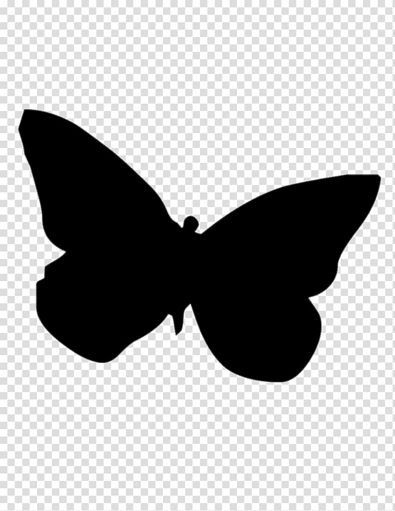 white butterfly illustration, Butterfly transparent background PNG clipart